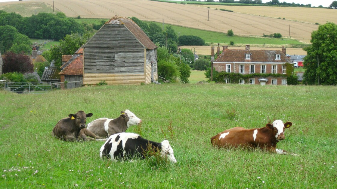 Comment Faire Du Woofing En Angleterre Geofr