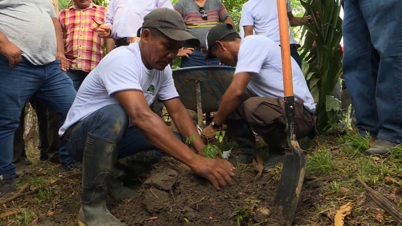 Au Pérou, un passionné crée une "ferme écologique" pour reboiser l'Amazonie d'espèces rares