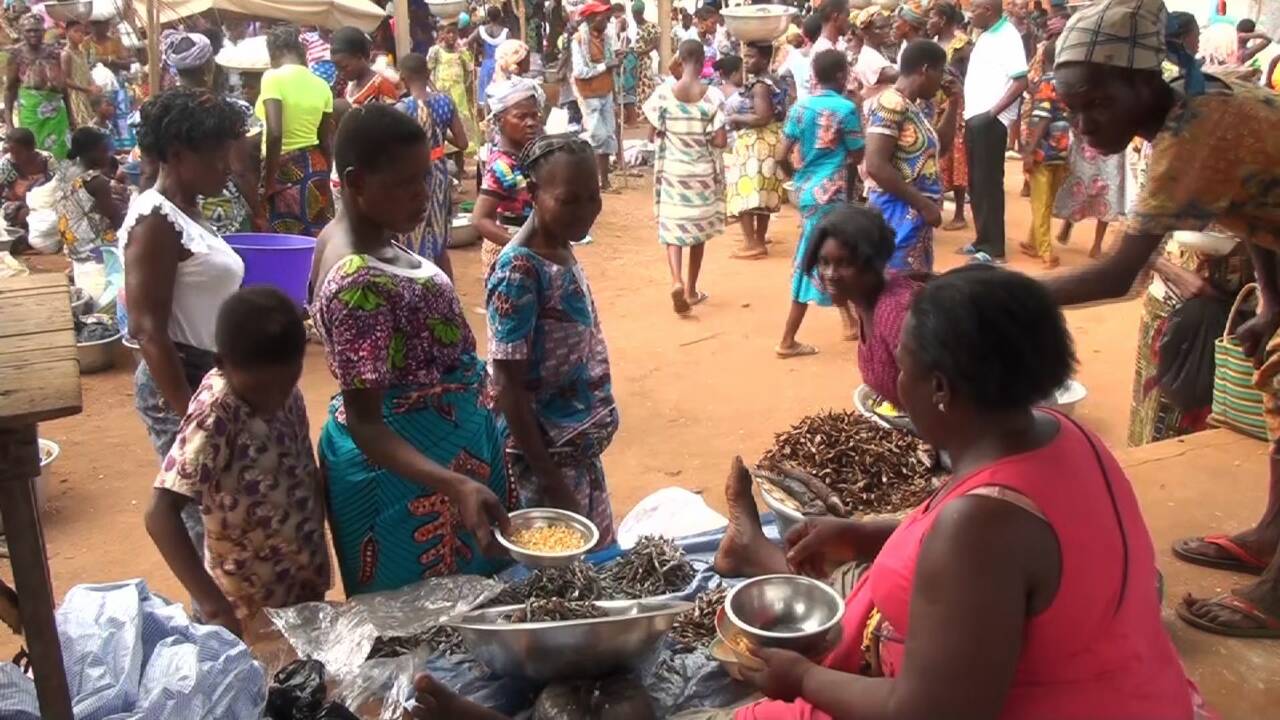 Au marché de Togoville, on n'achète pas, on troque depuis des lustres