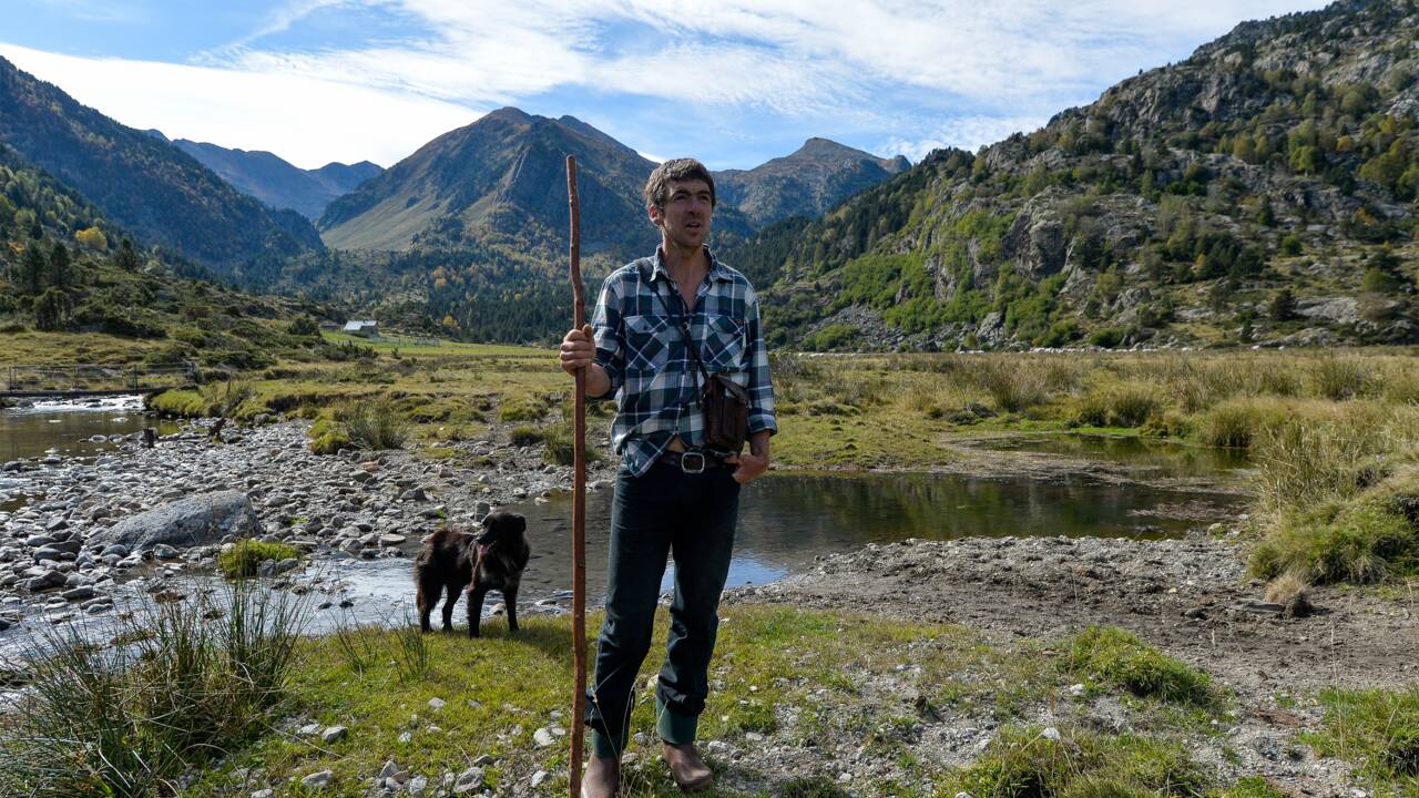 Brice Delsouiller, le vacher des Pyrénées devenu champion de trail