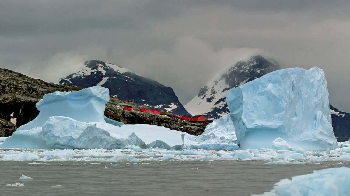 La péninsule Antarctique : ses scientifiques, ses manchots, ses touristes