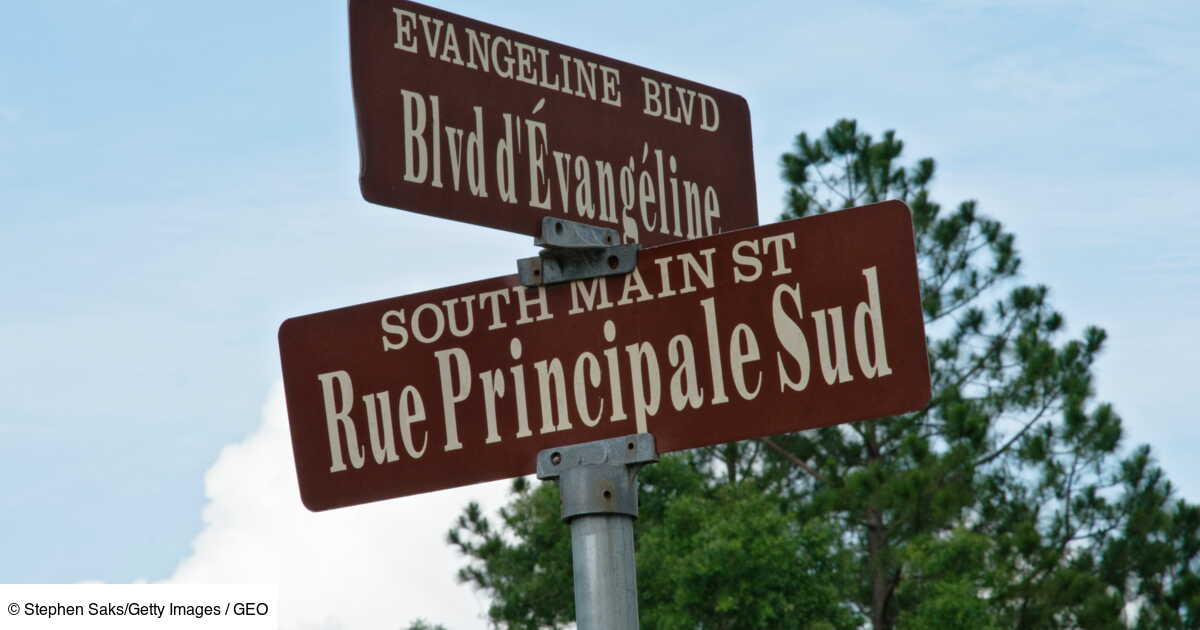 Francophones De Louisiane Les Cadiens Font De La Resistance Geo Fr