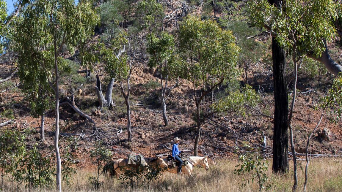La traversée de l'Australie à cheval, l'expérience de la Bretonne Aliénor Le Gouvello
