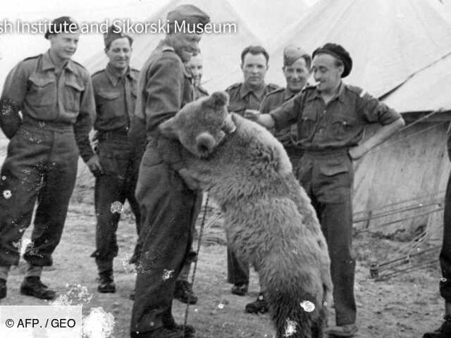 Le Caporal Wojtek Un Vrai Ours Soldat Héros Polonais De