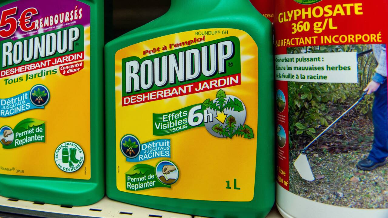 Le glyphosate, un herbicide controversé massivement utilisé