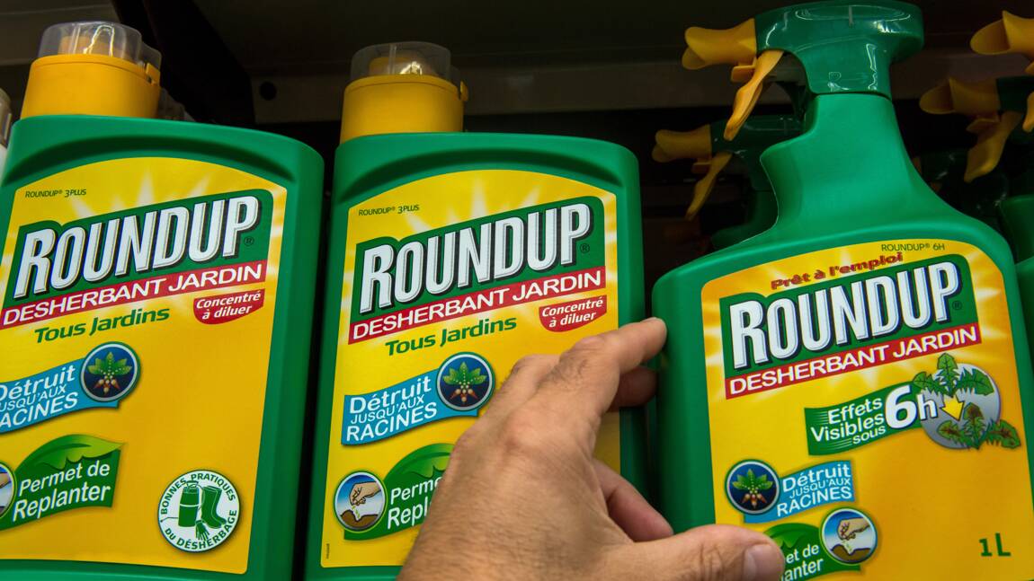 Glyphosate: l'interdiction d'utiliser du Roundup Pro 360 effective