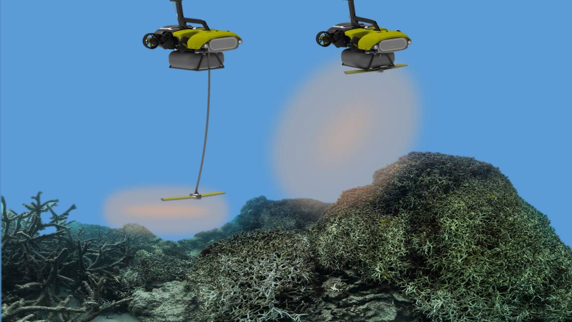 En Australie, un robot pour sauver la Grande Barrière de corail ?