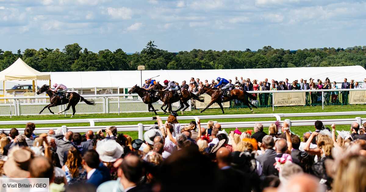 Les courses hippiques, une tradition toute britannique - Geo.fr