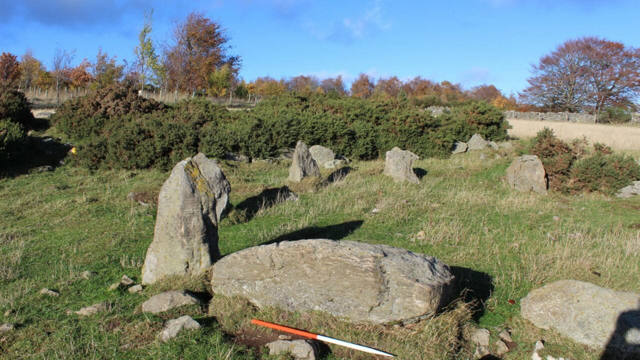 En Ecosse, un cercle de pierres "vieux de milliers d'années" aurait en réalité été construit par un fermier il y a 20 ans