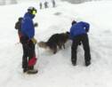 En Savoie, des chiens et leurs maîtres se livrent à des simulations d'avalanche pour se préparer au sauvetage