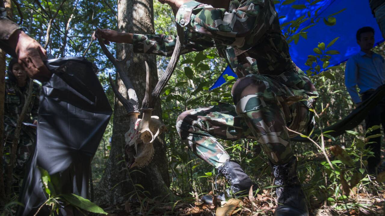Trafic d'animaux sauvages: les gardes-forestiers thaïlandais en quête d'une meilleure formation