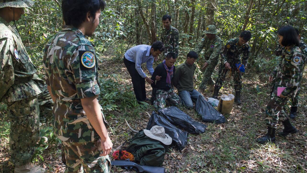 Trafic d'animaux sauvages: les gardes-forestiers thaïlandais en quête d'une meilleure formation