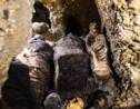 L’Egypte révèle la découverte de plusieurs dizaines de momies