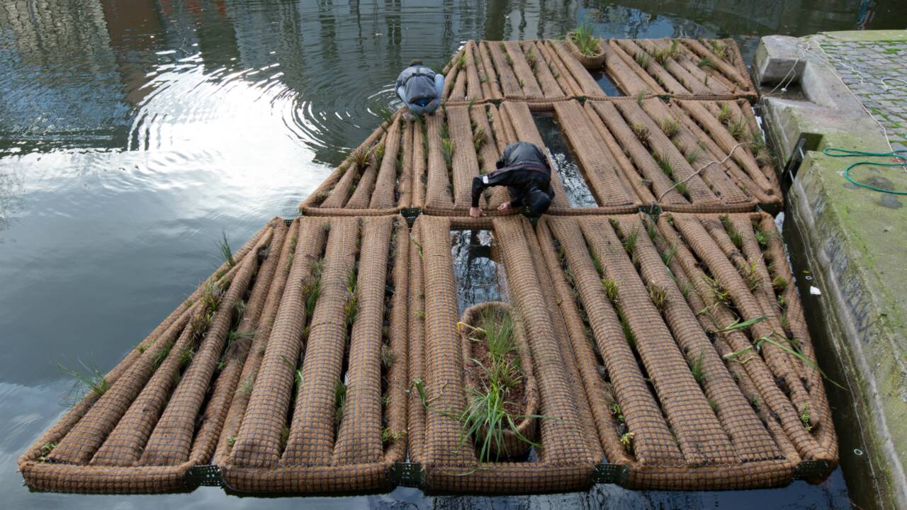 A Paris, elle installe un radeau sur le canal Saint-Martin pour purifier l'air et dépolluer l'eau