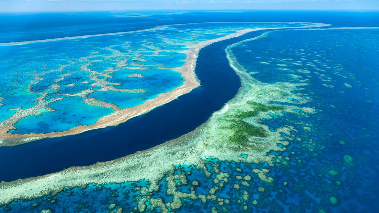 L'Australie autorise le rejet d'un million de tonnes de boue dans la Grande barrière de corail