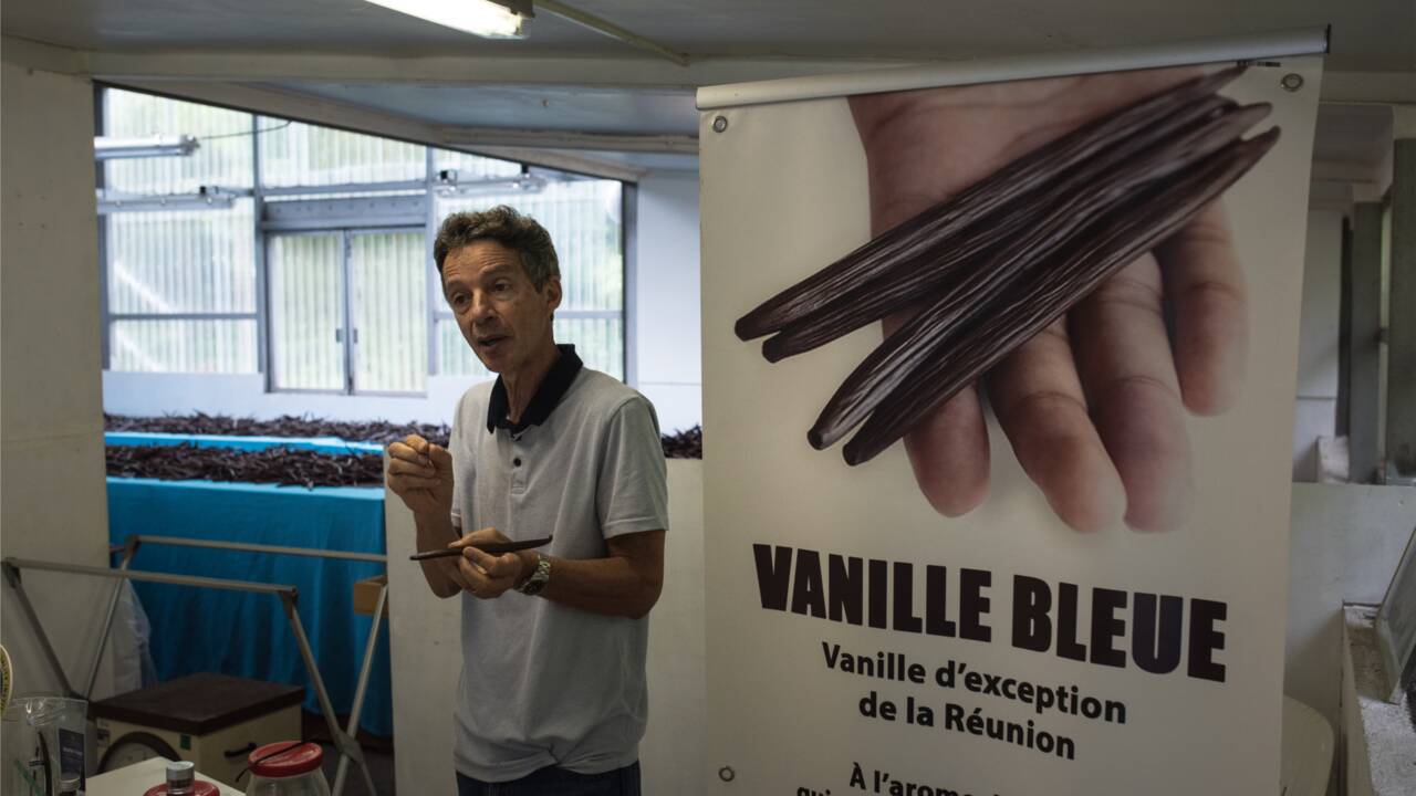 Île de La Réunion, Sainte-Rose : sur la route de la meilleure vanille du monde