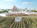 La plus grande ferme urbaine du monde située sur un toit ouvrira ses portes à Paris en 2020