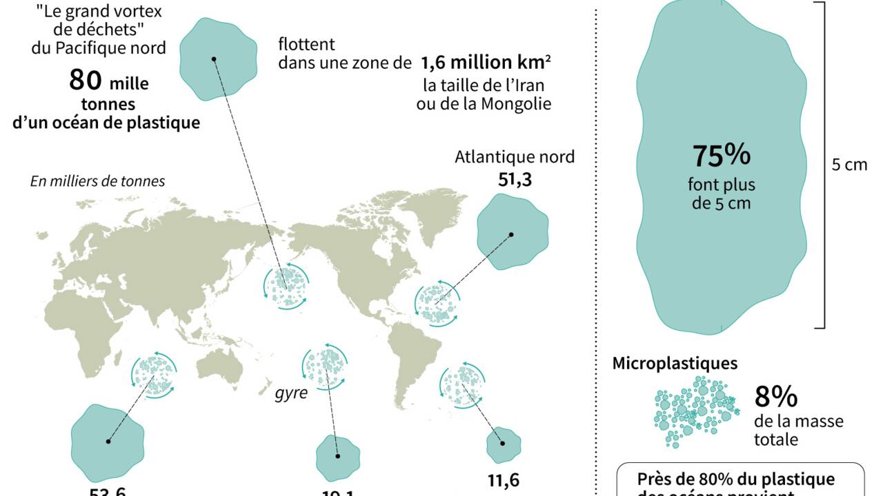 Des microplastiques retrouvés dans les crustacés des profondeurs de l'océan