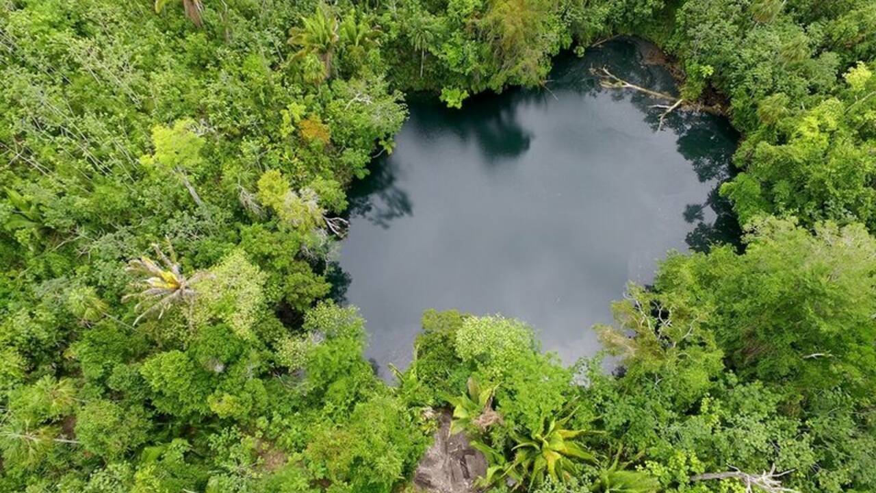 Un gouffre du Belize révèle les ossements d'un paresseux géant vieux de 27.000 ans