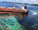 L'Australie lance une opération pour endiguer la marée noire aux Salomon