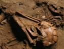 Il y a 6000 ans, les hommes vivaient déjà avec des chiens et étaient même enterrés avec
