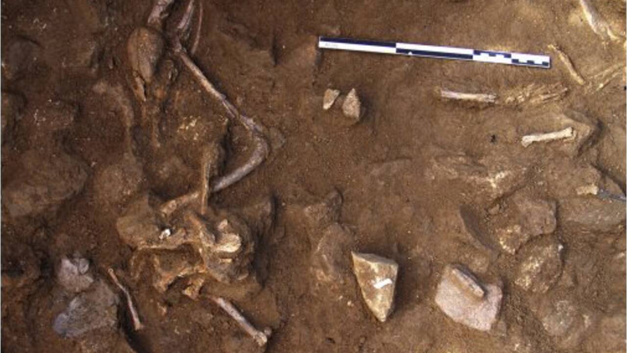 Il y a 6000 ans, les hommes vivaient déjà avec des chiens et étaient même enterrés avec
