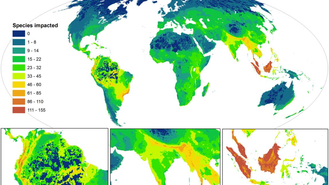 Cette carte montre la répartition des espèces les plus menacées