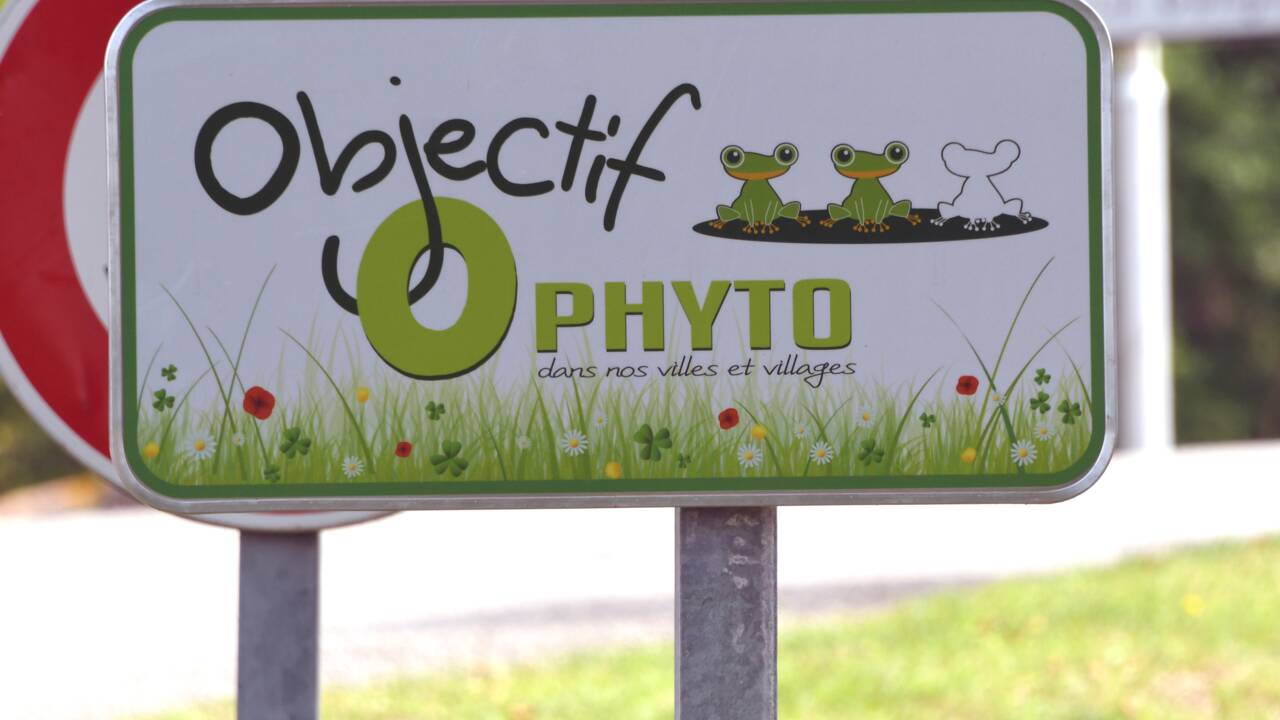 En Ile-de-France, deux-tiers des communes sont à zero pesticide