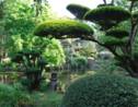 Jardin japonais : découvrez la beauté de Parc Oriental de Maulévrier près de Nantes
