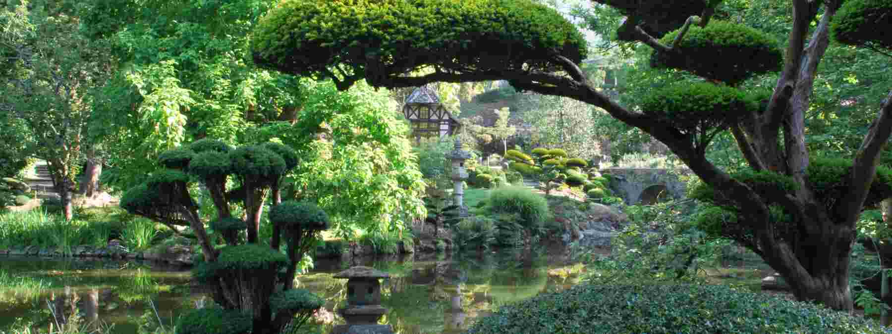 Jardin japonais : découvrez la beauté de Parc Oriental de Maulévrier près de Nantes