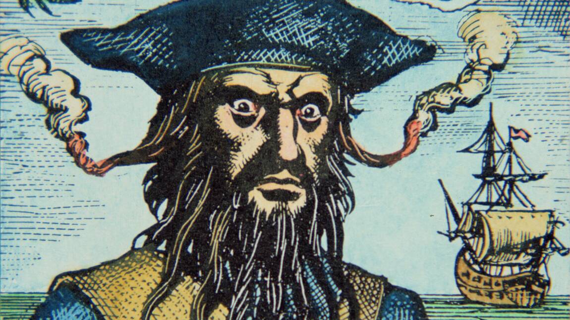 Ile de la Tortue, Frères de la côte... La véritable histoire des pirates des Caraïbes
