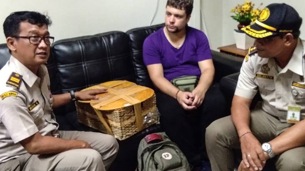 Un Russe arrêté à Bali avec un orang-outan drogué dans sa valise