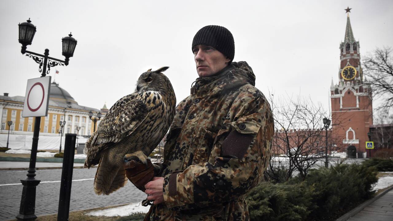 A Moscou, une escadrille de rapaces pour protéger le Kremlin