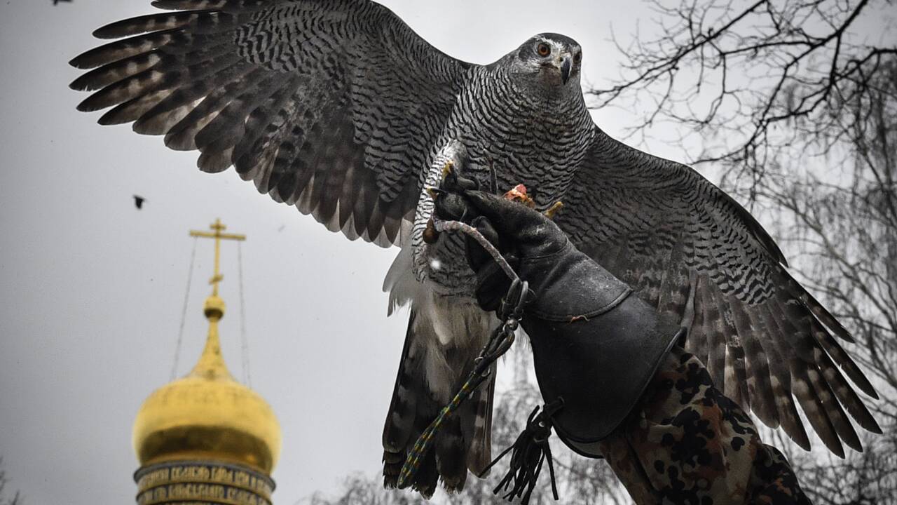 A Moscou, une escadrille de rapaces pour protéger le Kremlin