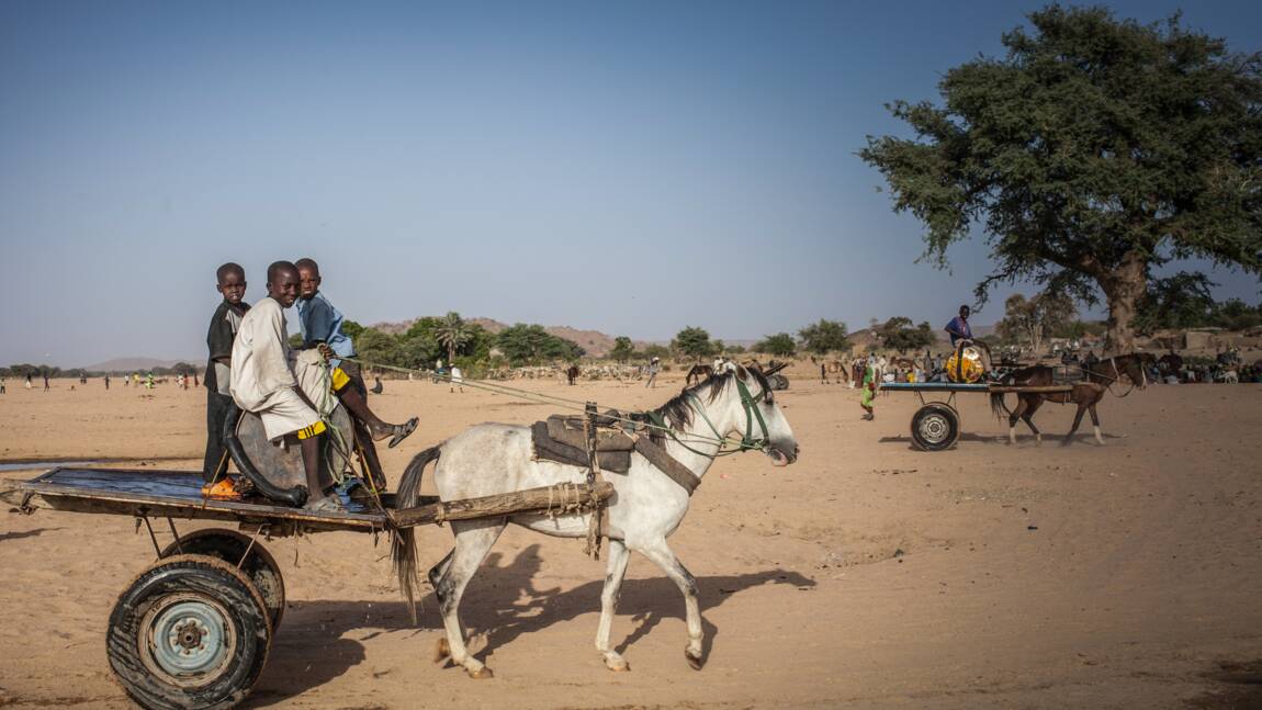 Dans l'est du Tchad, une eau rare livrée par des colporteurs