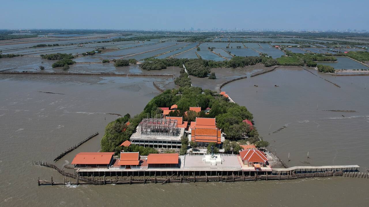 Thaïlande: replanter la mangrove contre l'érosion et pour sauver un temple