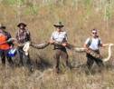 Un python birman de cinq mètres de long capturé dans une réserve de Floride