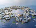 Un projet de ville flottante pour accueillir les réfugiés climatiques en pourparlers à l'ONU