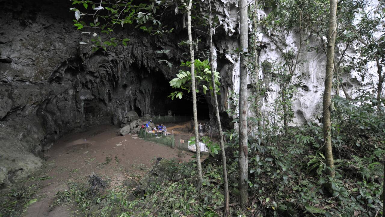 Des chercheurs découvrent une espèce humaine inconnue vieille de 50 000 ans aux Philippines
