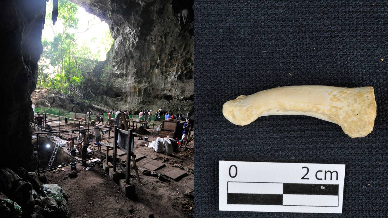 Des chercheurs découvrent une espèce humaine inconnue vieille de 50 000 ans aux Philippines