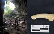 Para peneliti telah menemukan ras manusia berusia 50.000 tahun