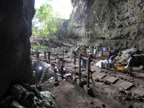 Aux Philippines, des fouilles révèlent l'existence d'une nouvelle espèce humaine