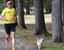 L'histoire de Gobi, la petite chienne errante qui a suivi un marathonien en plein désert