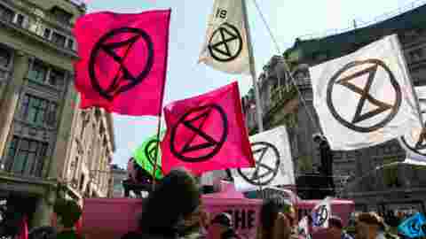 Crise climatique : que signifie le symbole arboré par les manifestants ?