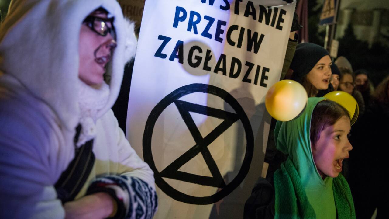 Crise climatique : que signifie le symbole arboré par les manifestants ?