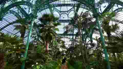 Belgique: les Serres royales de Laeken ouvertes pour le printemps