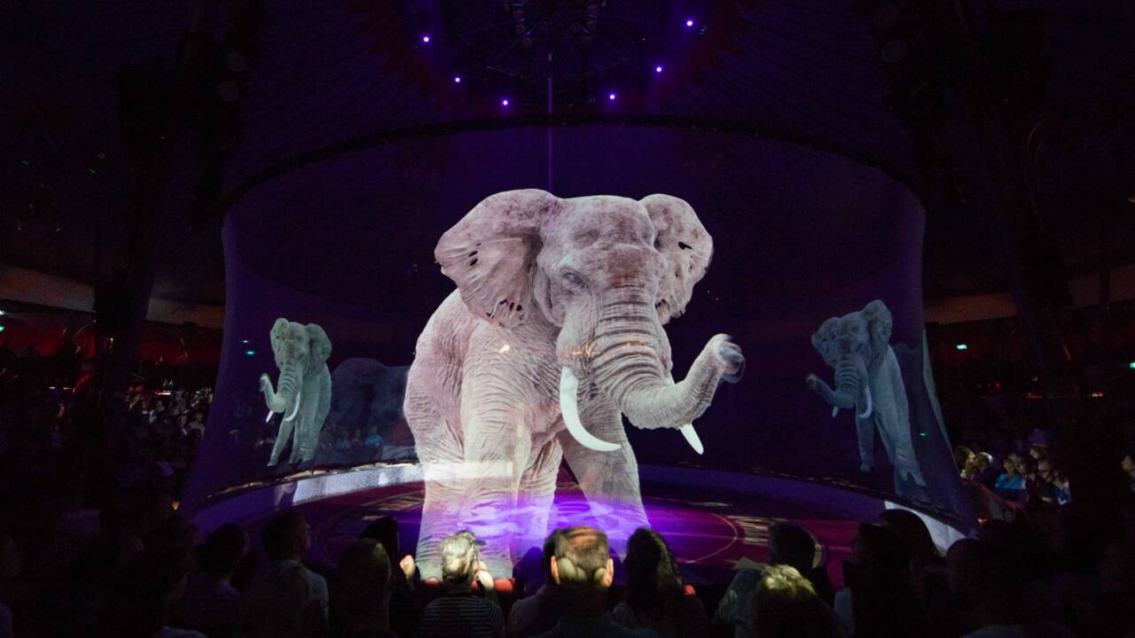 En Allemagne, un cirque a remplacé les animaux par des hologrammes géants