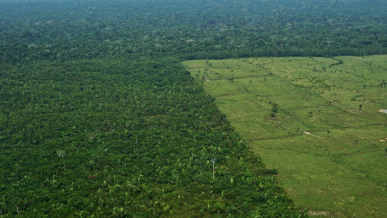 Déforestation au Brésil: la Norvège bloque 30 millions d'euros de subventions
