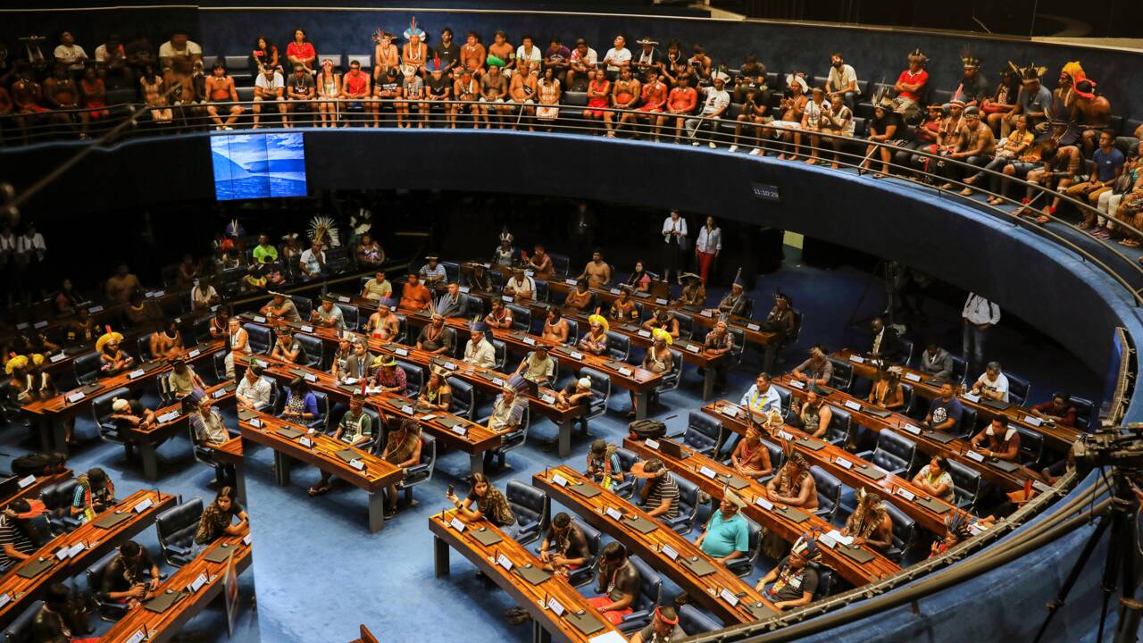Brésil: faible affluence au Congrès pour recevoir les indigènes
