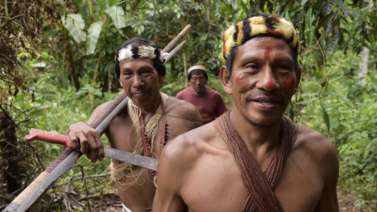 En Equateur, la lutte des Indiens waorani face à l'exploitation pétrolière